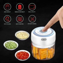 Load image into Gallery viewer, Mini Electric Food Crusher
