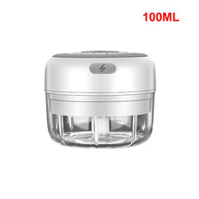 Load image into Gallery viewer, Mini Electric Food Crusher
